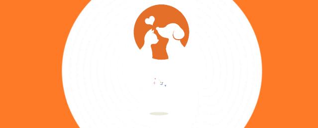 最好的天然猫粮,世界上最顶级的猫粮