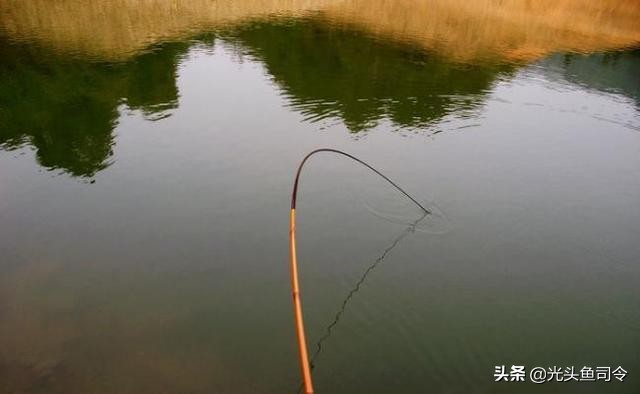 野钓为什么没有口,野钓为何没口而且顶漂