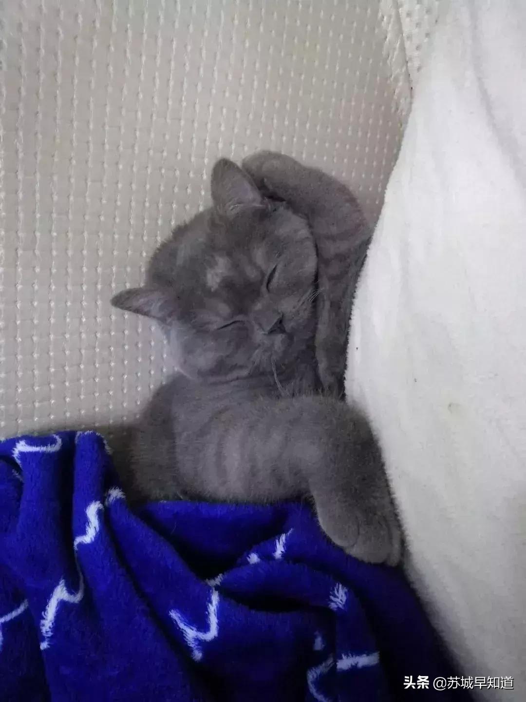 苏州平江路万达广场,苏州万达广场平江店