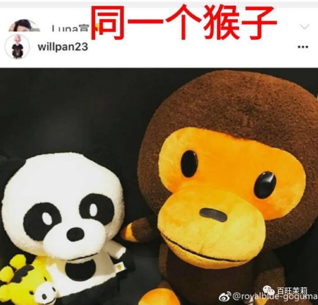 你还看真人秀吗,你们还信真人秀么