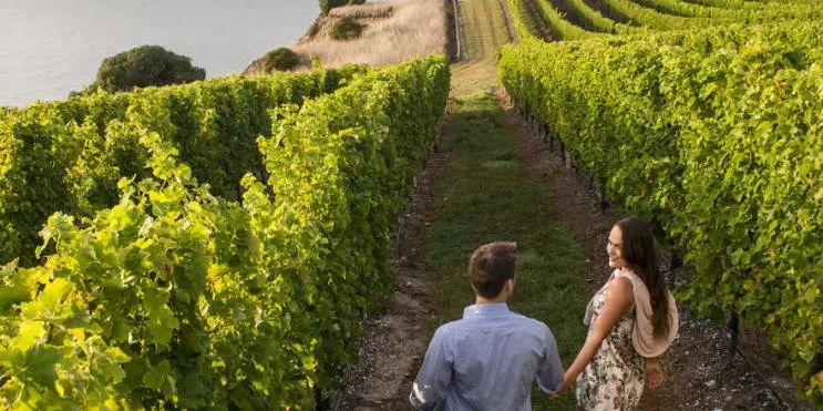 新西兰自驾旅游攻略,新西兰北岛到南岛自驾攻略