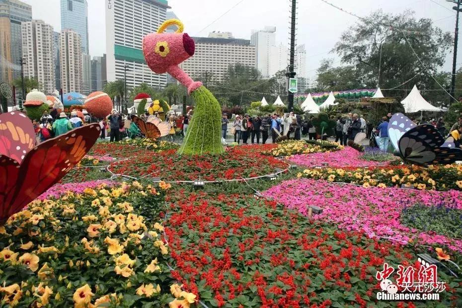 香港花卉艺术展,共赴盛会活动