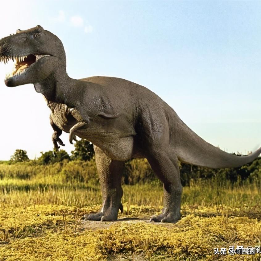 第五单元说明文作文500字五年级,五年级第五单元说明文作文范文