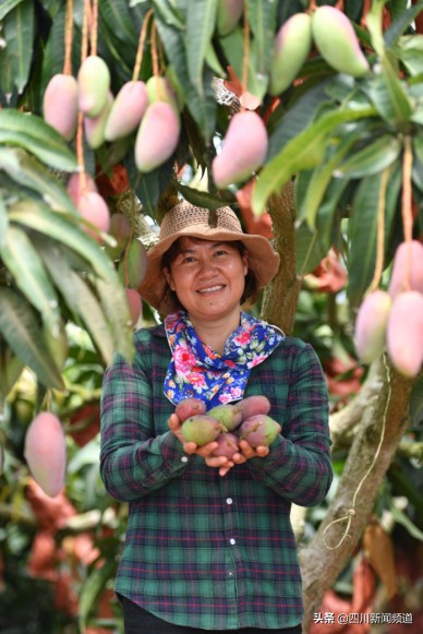 618购物节销售额创新高,618大卖