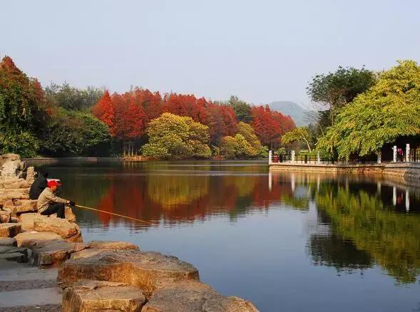 广州比较适合年轻人去的地方,广州最适合年轻人去的地方