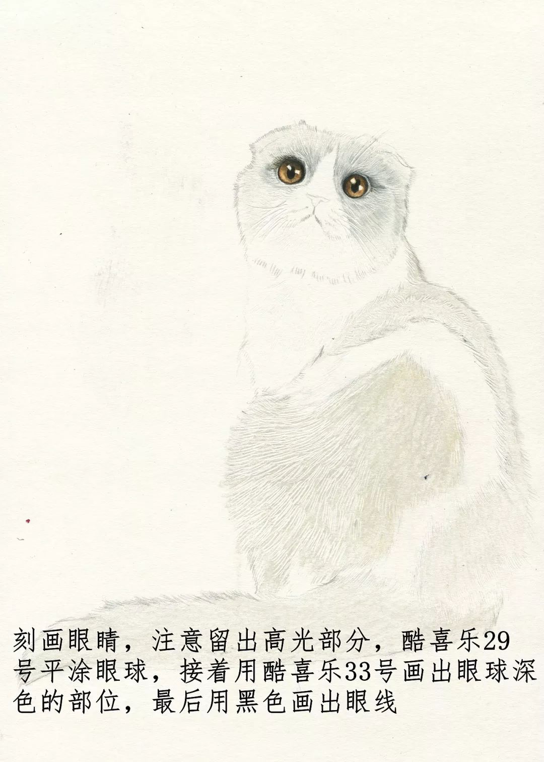 素描动物最全的收集,精微素描动物临摹高清大图