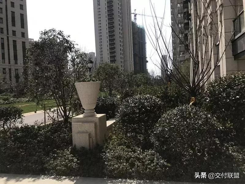 桥北接近3万/平“改善盘”到底要不要买？6月即交付