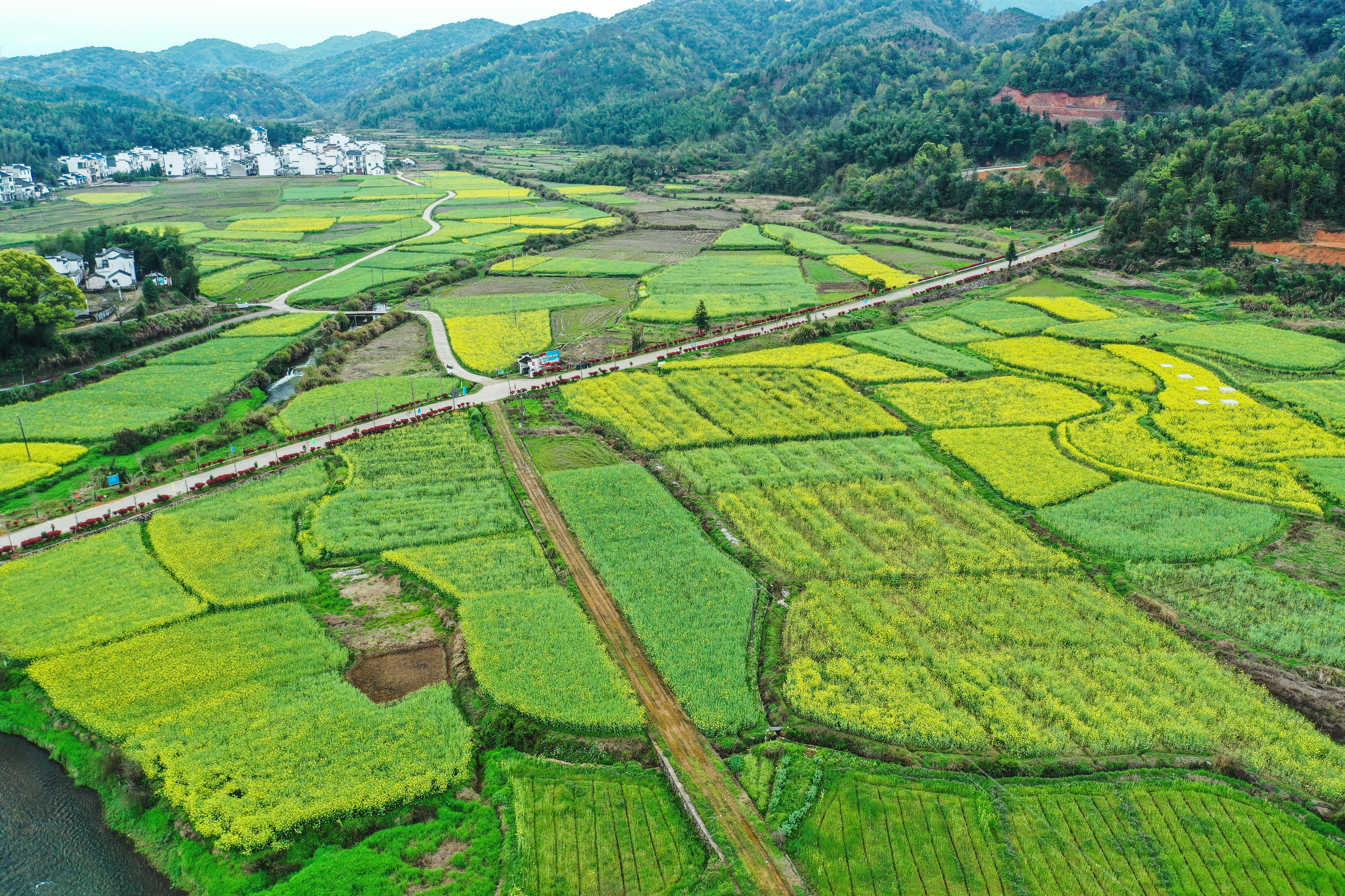 绿水青山的垦殖场