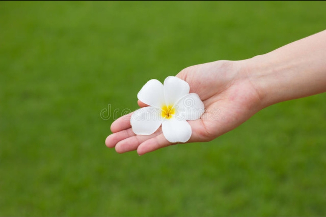 父亲欠的钱向他儿女要怎么要,父亲欠人钱找上我了我该怎么回复