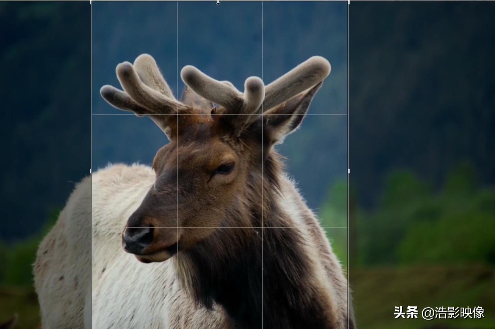 数字变焦和光学变焦对比,光学变焦和数码变焦哪个更清楚