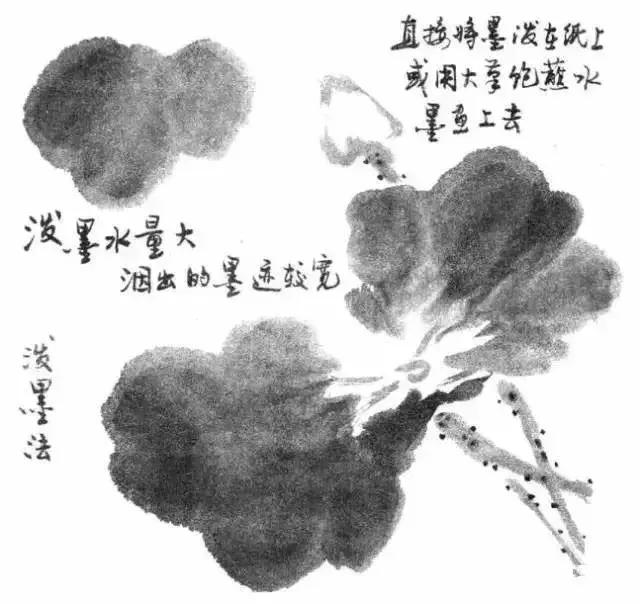 写意花鸟配景石的画法,干货写意花鸟类的画法