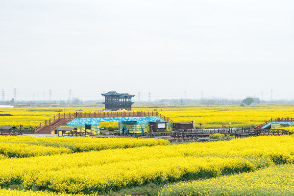 踏春赏花拍美景,踏春赏花逛湖