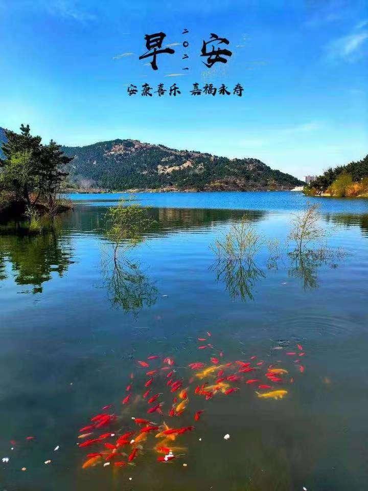 用海竿钓鱼老是脱钩什么原因,海竿铃铛响了之后怎么办