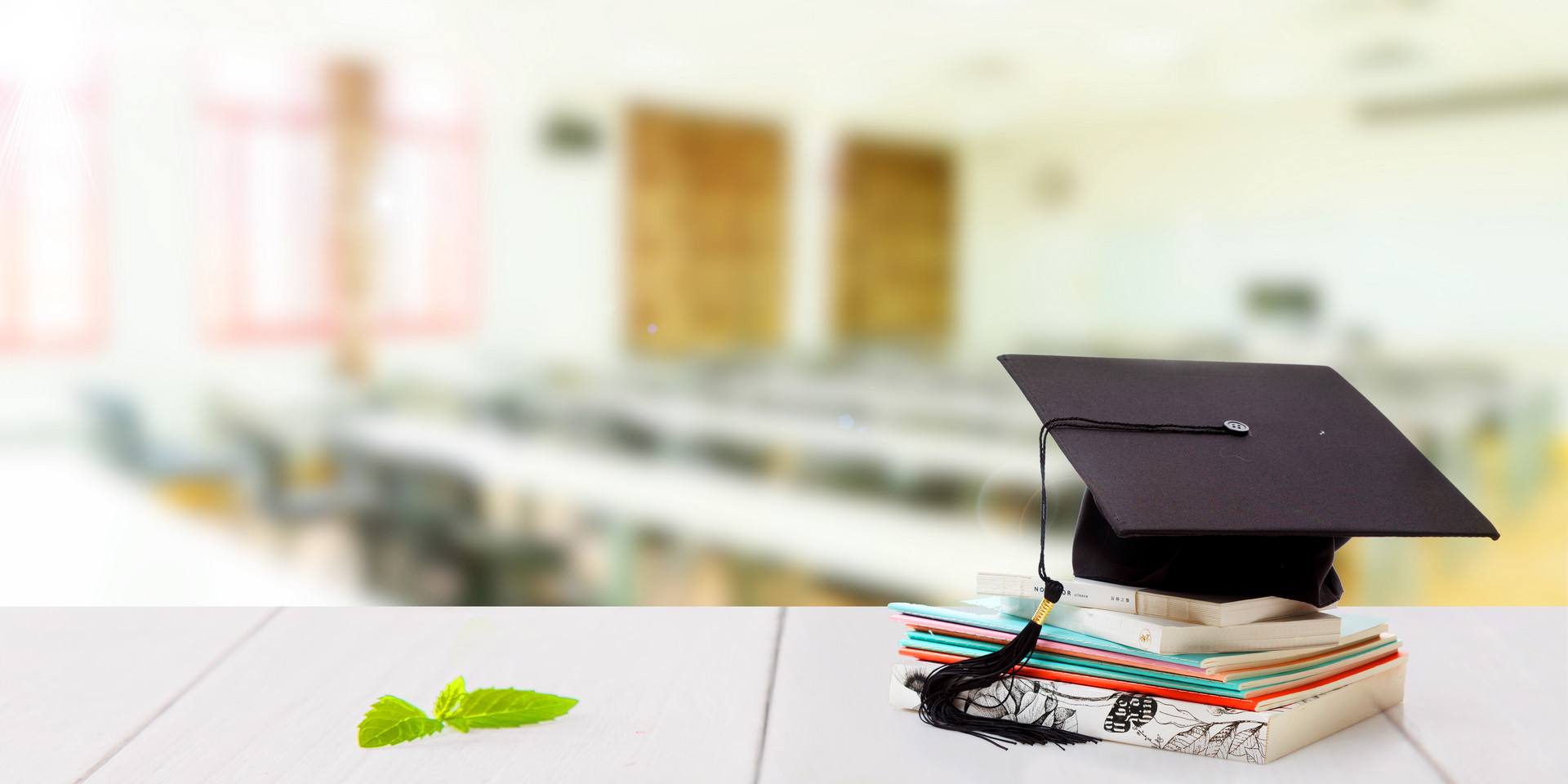 双学位是什么意思，含金量如何，大学本科生怎样才能获得双学位？