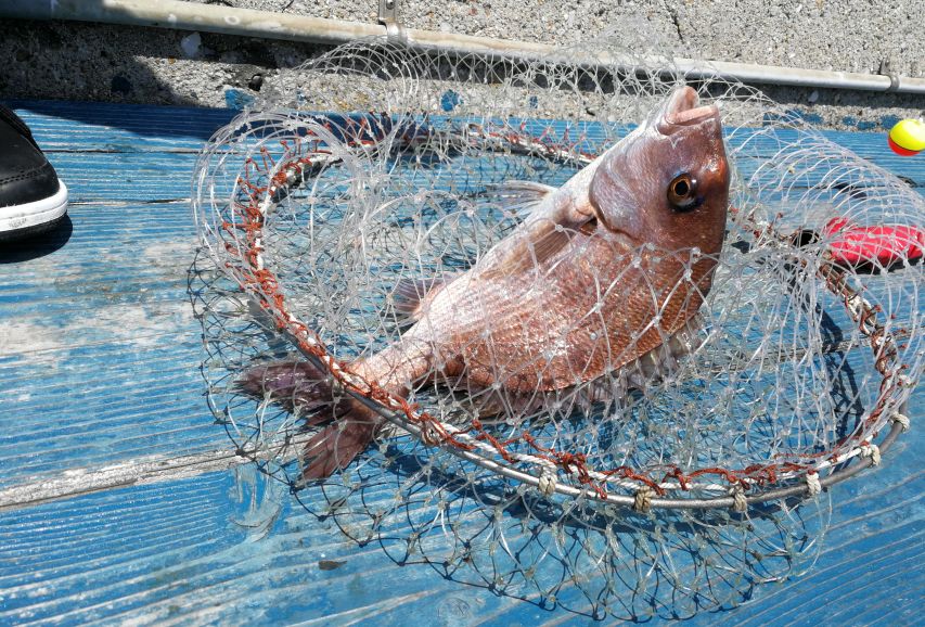 江户前菜品,江户前美食攻略