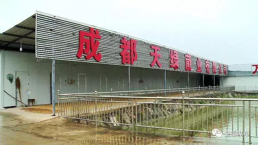 对外交通70年，金堂人霸气“出走”