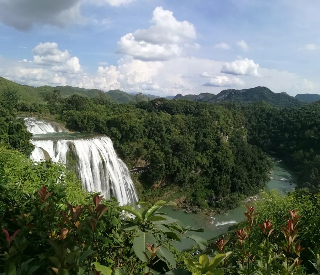 无冕之王任正非,任正非金凤凰