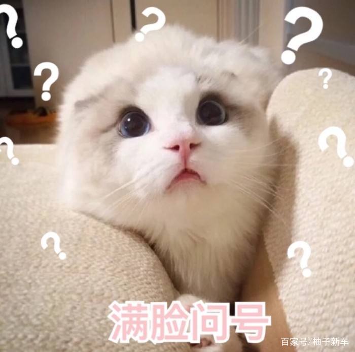 通过网上渠道购车靠谱吗,网上买车一点也不靠谱