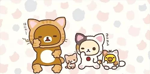 从零开始学雅思到6.5分,零基础雅思7分攻略