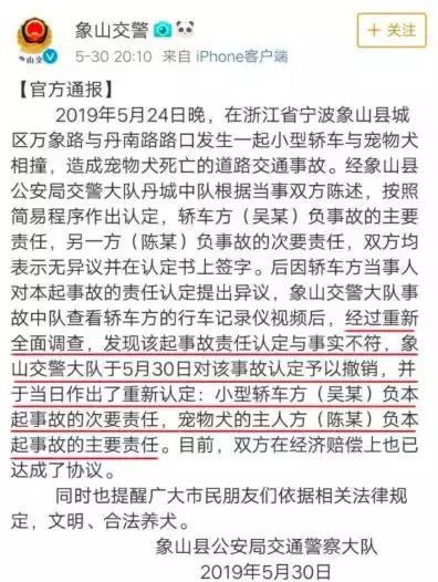 撞死宠物狗属于轻微的交通事故吗,撞死宠物狗交通事故