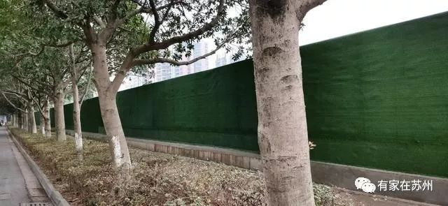 新星海高中来了！实地勘探，湖东人民有福了