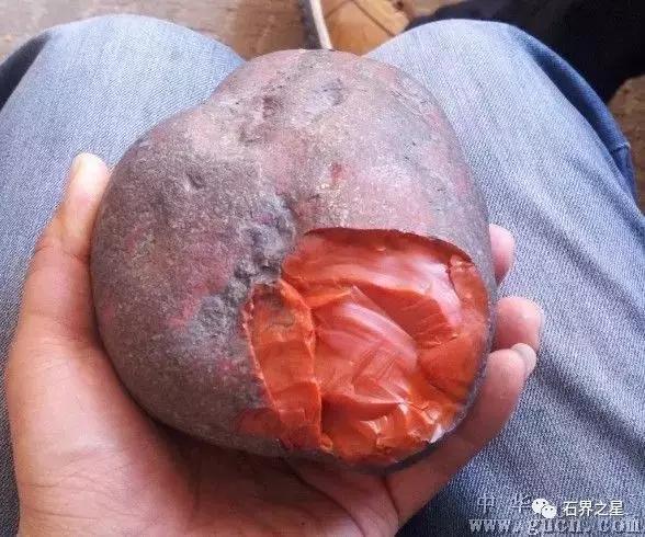 捡到这些石头不要扔,在海边捡到这些石头千万不要丢