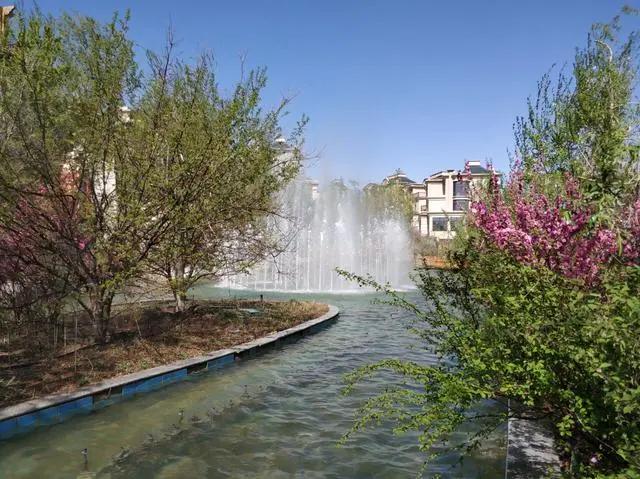 绿地城二期绿化乌鲁木齐,乌鲁木齐中海万锦公馆绿化环境