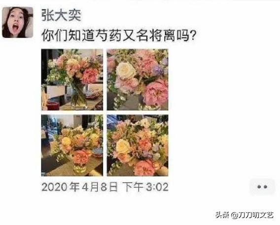 张大奕被富豪怼视频,商界大佬离婚事件
