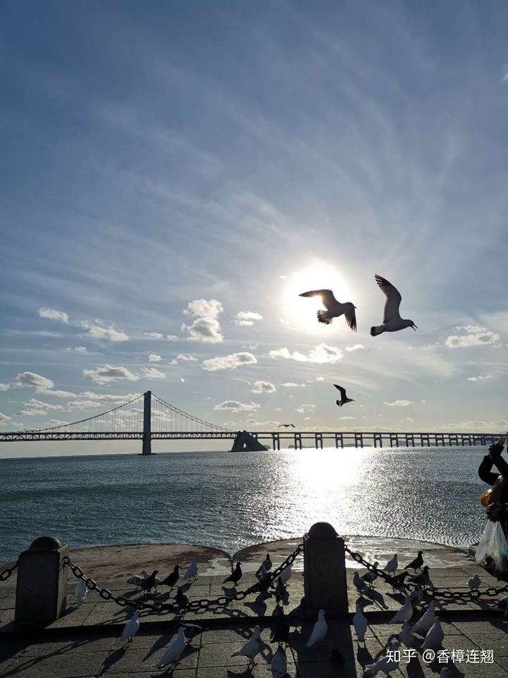 在大连生活怎么样,在大连生活十年是什么体验