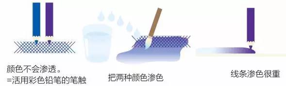 彩铅画云堇教程,三色堇彩铅画图片