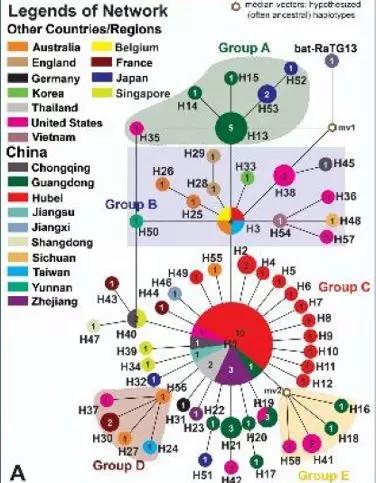 研究发现新冠病毒的源头不是华南海鲜市场，这意味着什么？