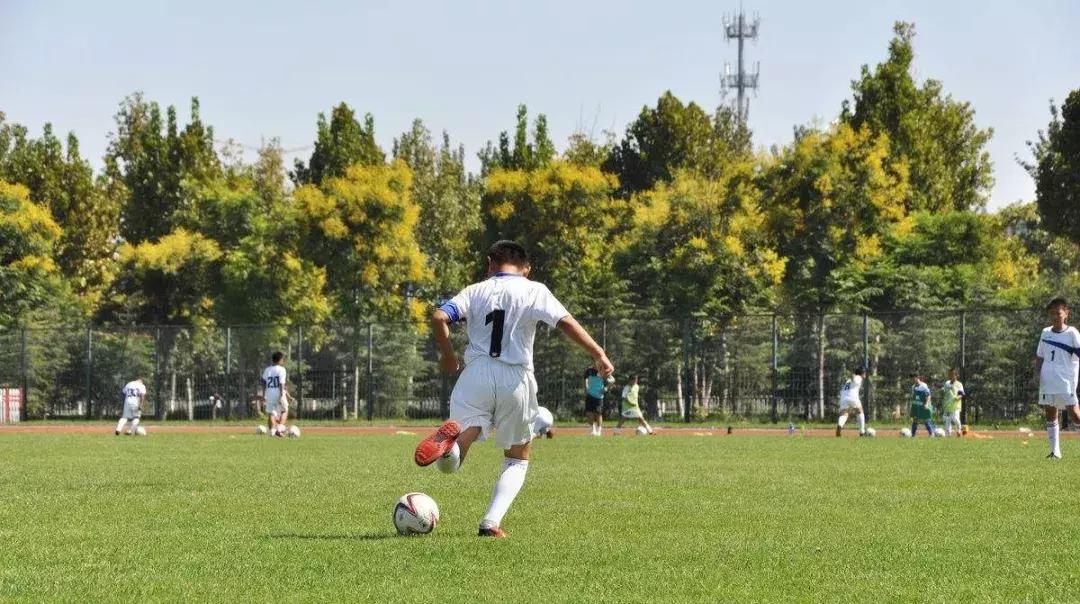 中国足球青训现状及未来,关于中国足球青训发展的一些感慨