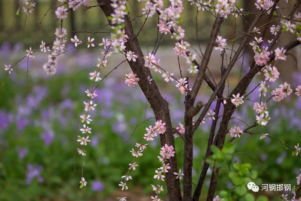 娌抽挗閭挗閾佽矾,娌抽挗閭挗楂樼倝