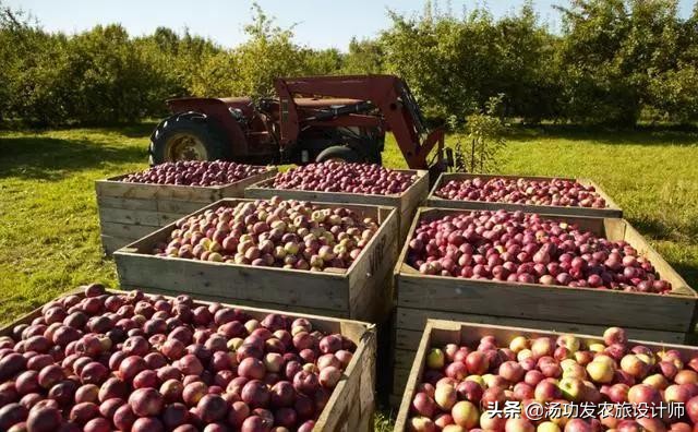 鲁家村田园综合体案例,10个日本田园综合体案例