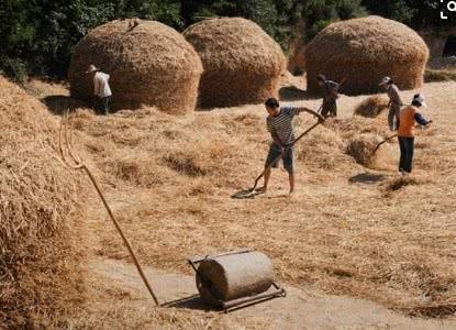 石磙、稻场、稻草垛