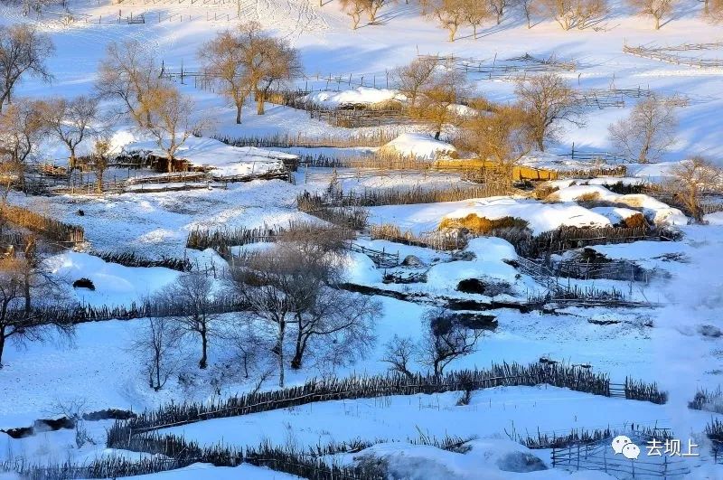 坝上摄影攻略,坝上夏季摄影