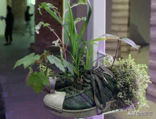 巧妙旧物改造塑料瓶变身手工花盆,旧物利用变废为宝制作花盆