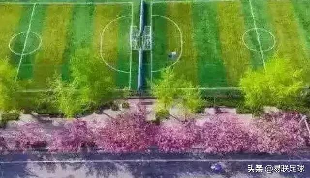 璁粌鎵嬭,璁粌鎵嬭瓒呭嚒