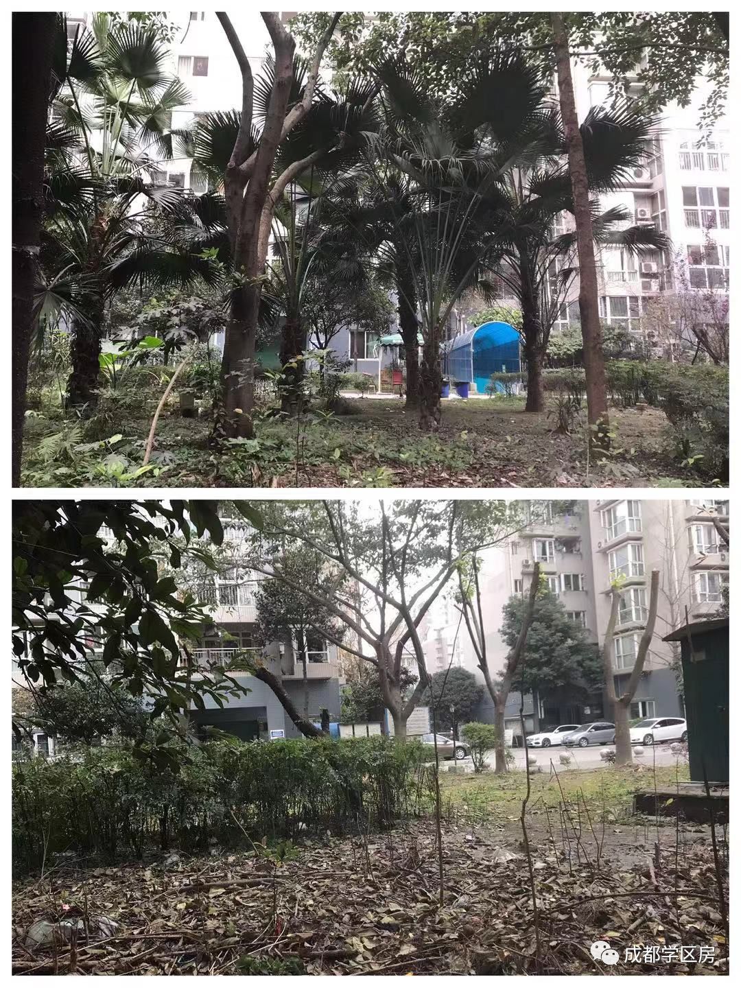 建设路附近学区房,热门双半径学区房