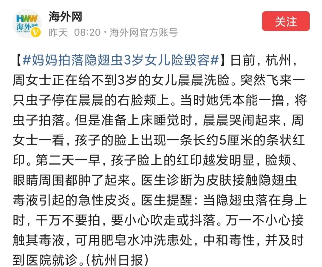 无毒隐翅虫有危害吗,毒虫隐翅虫毁容