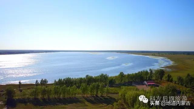 阿古拉湿地草原视频,阿古拉湿地有什么鸟