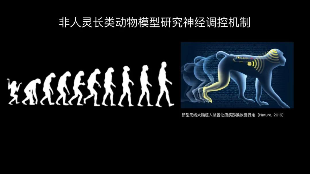 五个能控制你大脑的可怕实验,电击治疗精神分裂症会失忆吗