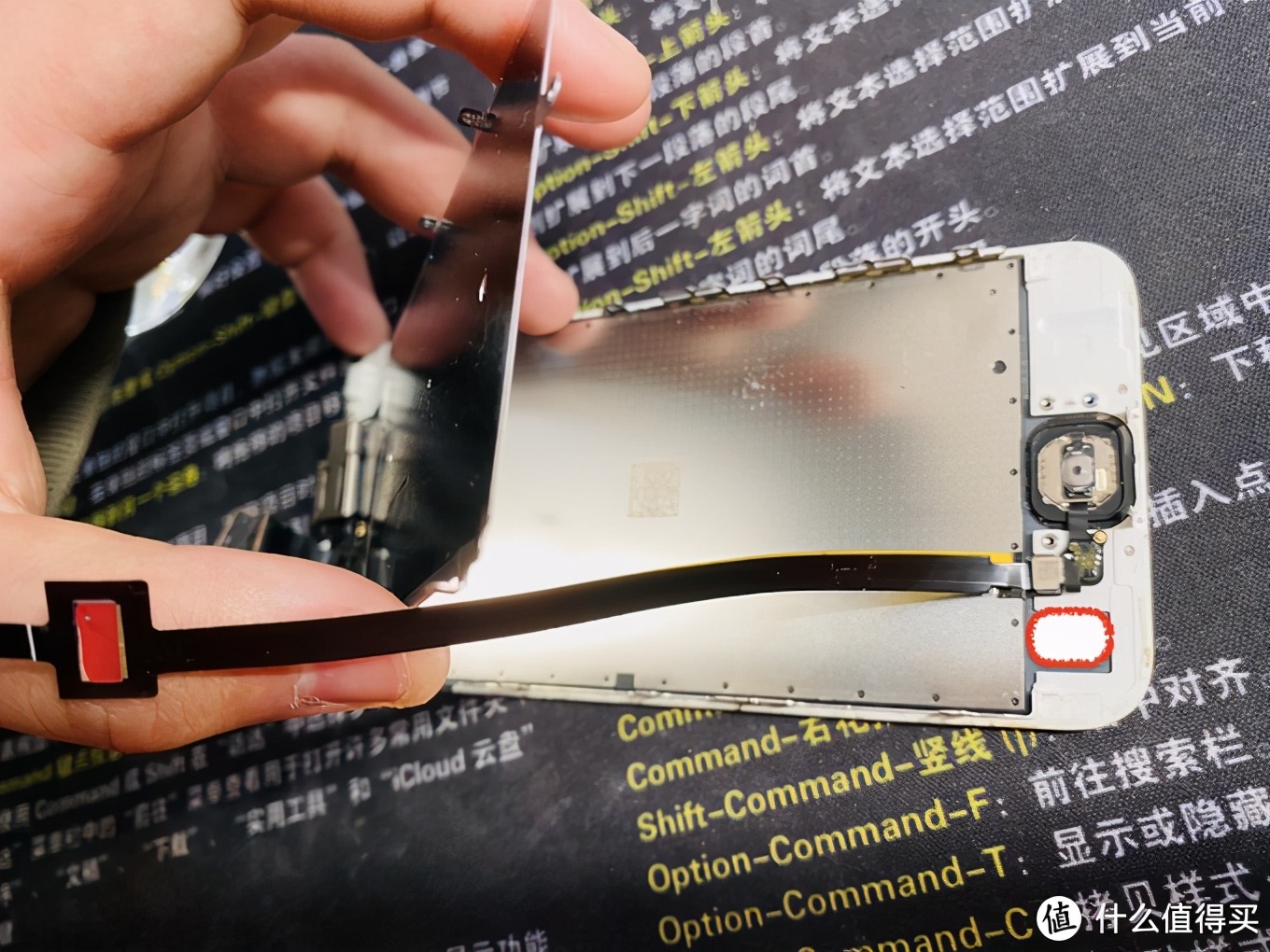 苹果iphonehome键,iphonehome键坏了只能进相机