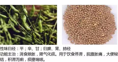 常用中草药名称大全图片及药效,常用中草药药效大全