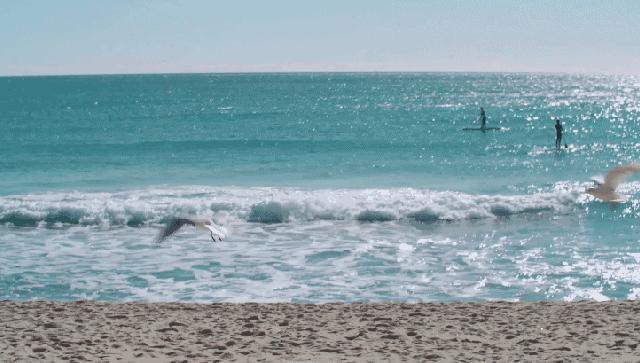 惠州斯维登宾馆,惠州斯维登公寓酒店