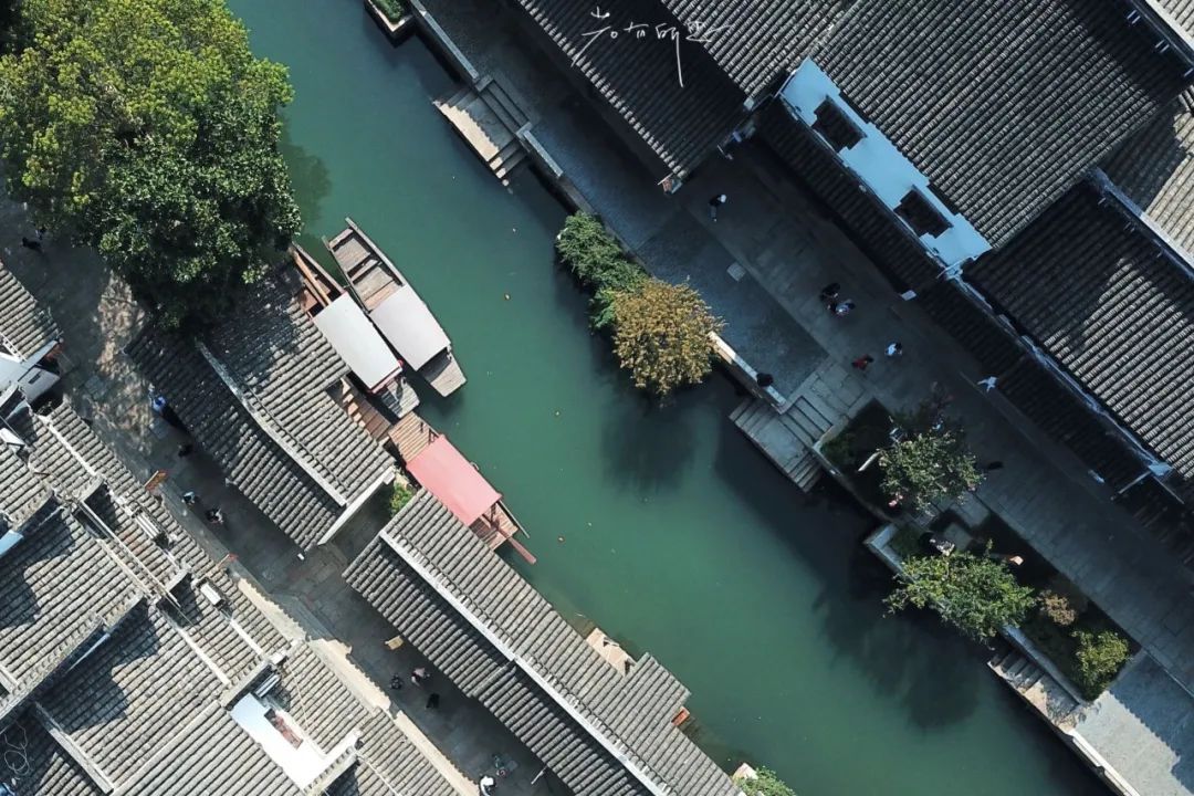 别再去西塘周庄挤了！苏州最有人间烟火气的古镇，假期依旧安静