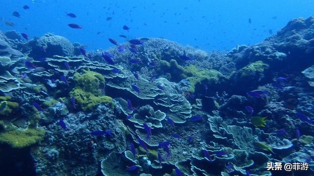 菲律宾小马尔代夫度假村,菲律宾小马尔代夫一日游