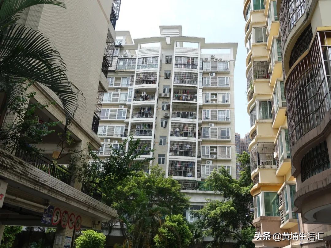 黄埔区怡园小学对应小区,广州黄埔怡园小学有什么楼盘