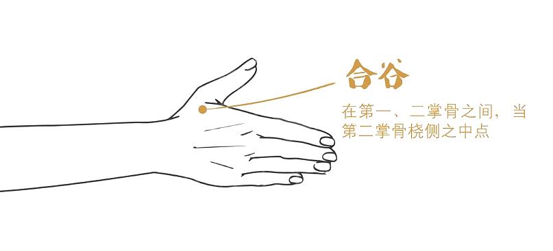 谷雨养肝祛湿正当时,春季养肝也要养胃饮食宜健脾养阳