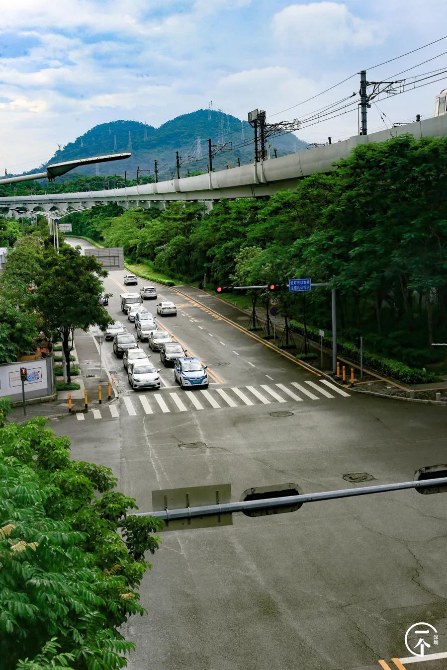 塘朗租房贵吗,西丽塘朗房租